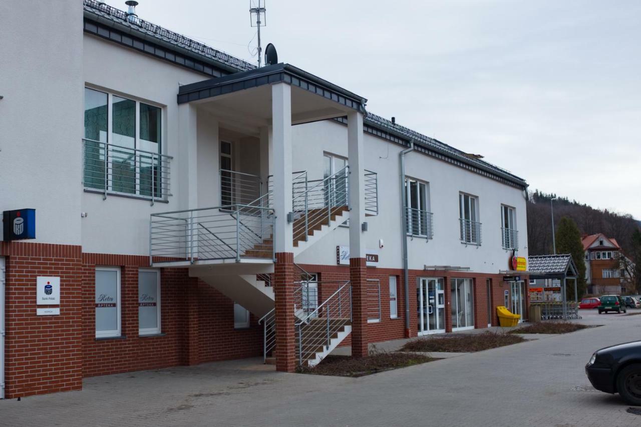 Apartament Rodzinny Plus Mountain Aparts Свєрадув-Здруй Екстер'єр фото